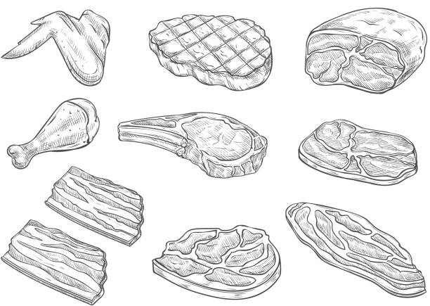 Vector sketch butchery meat chicken icons Meat and chicken sketch icons. Vector isolated symbols of fresh or grill chicken leg and wing, pork bacon ham and beef steak sirloin or tenderloin brisket and T-bone steak for barbecue or butcher shop meat designs stock illustrations