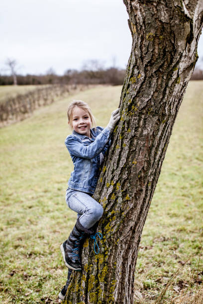istock young, blond, beautiful girl is climbing on tree in austria 925726238