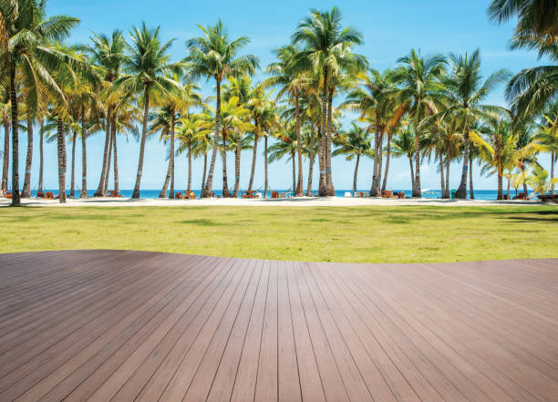 Wooden terrace beside tropical resort beach