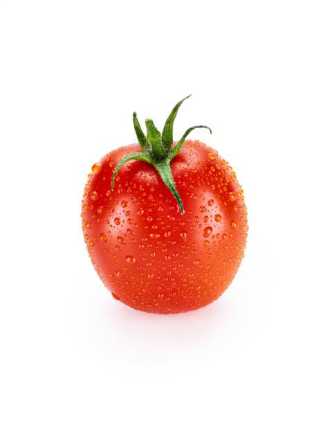 istock A washed bright red ripe chilled plum tomato isolated on a white background 925737802