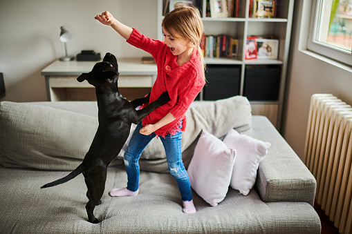 Little girl at home playing with her black puppy dog.