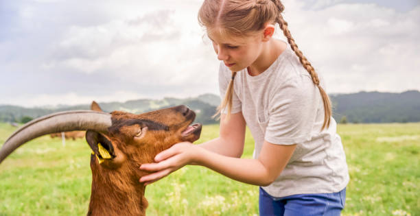 Herder and goat on landscape