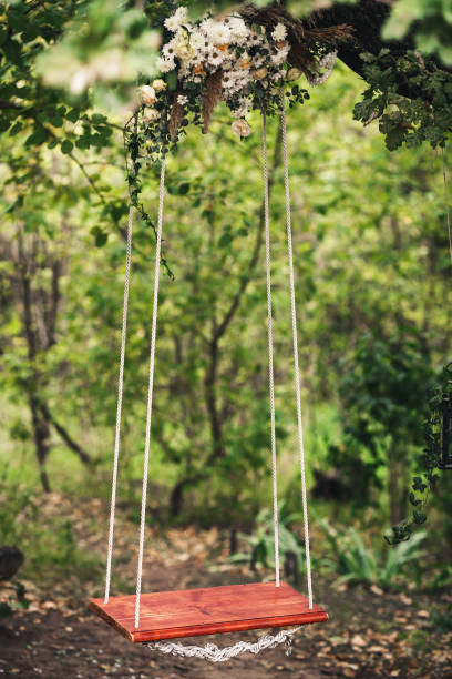 istock The rope swing hanging on an oak 925745546