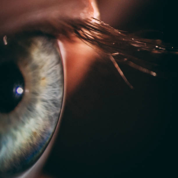 istock enlarged image of an eye iris made with a slit lamp 925746142
