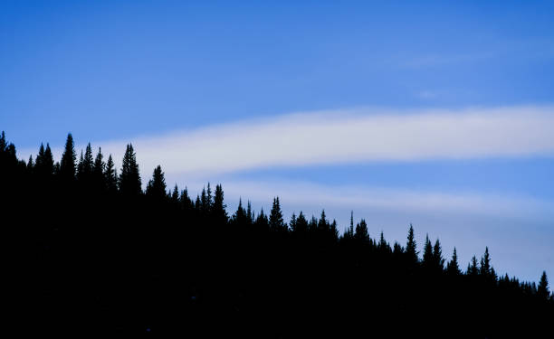 istock Forest and Trees Silhouette Along Mountain Ridge 925756918