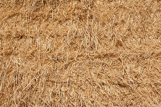 istock Golden hay bale 92575811