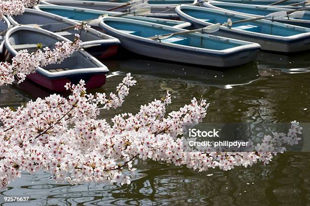 Botes De Flor De Cerezo Foto de stock y más banco de imágenes de Agua - Agua, Asia, Barco de remos