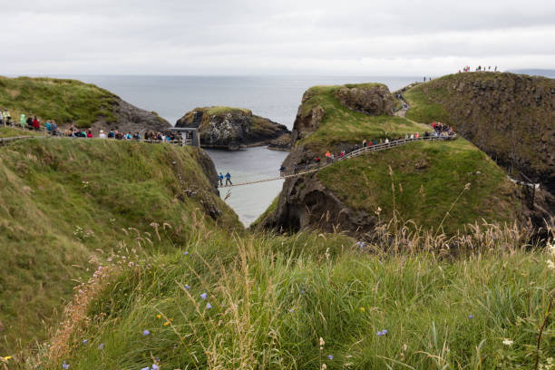 istock Rope bridge,Northern Ireland 925782528