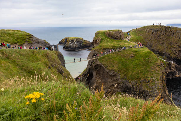 istock Rope bridge,Northern Ireland 925782556