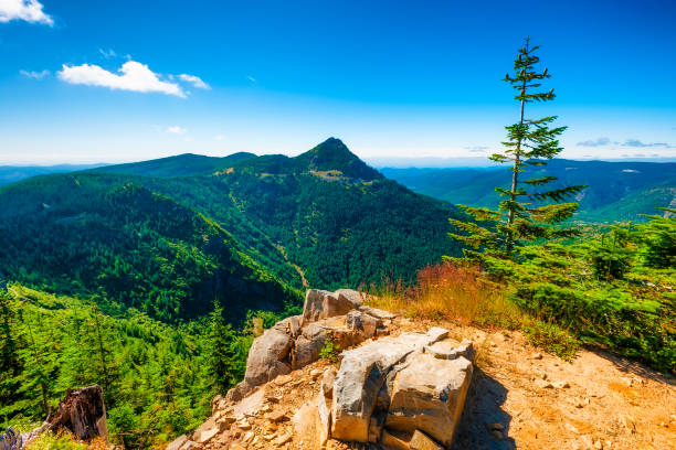istock Mt. St. Helens Gifford Pinchot National Forest 925782832