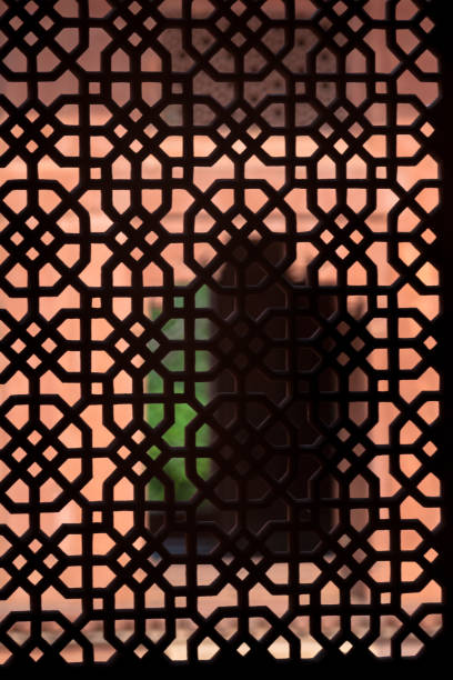 istock window ornament  in Rajasthan, India 925782930