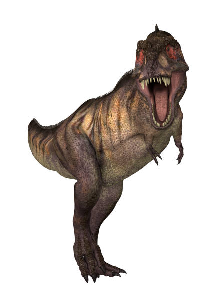 istock 3D digital render dinosaur Tyrannosaurus on white 925787094