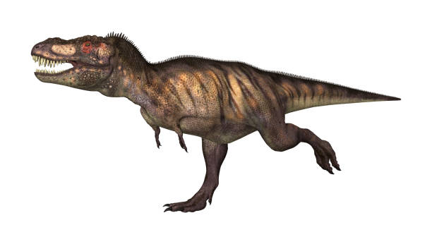istock 3D digital render dinosaur Tyrannosaurus on white 925787252