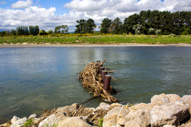 Tree branches stuck in the river Tree branches stuck in the river manawatu river stock pictures, royalty-free photos & images