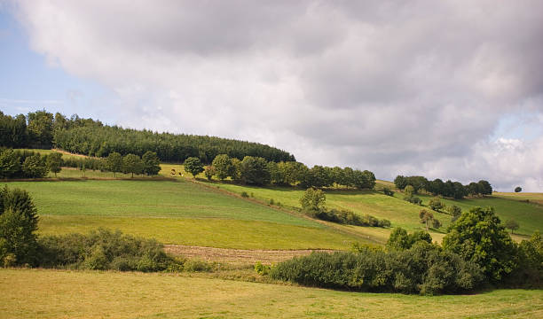 istock Green hill with trees and fields in nationalpark Eifel 92581026
