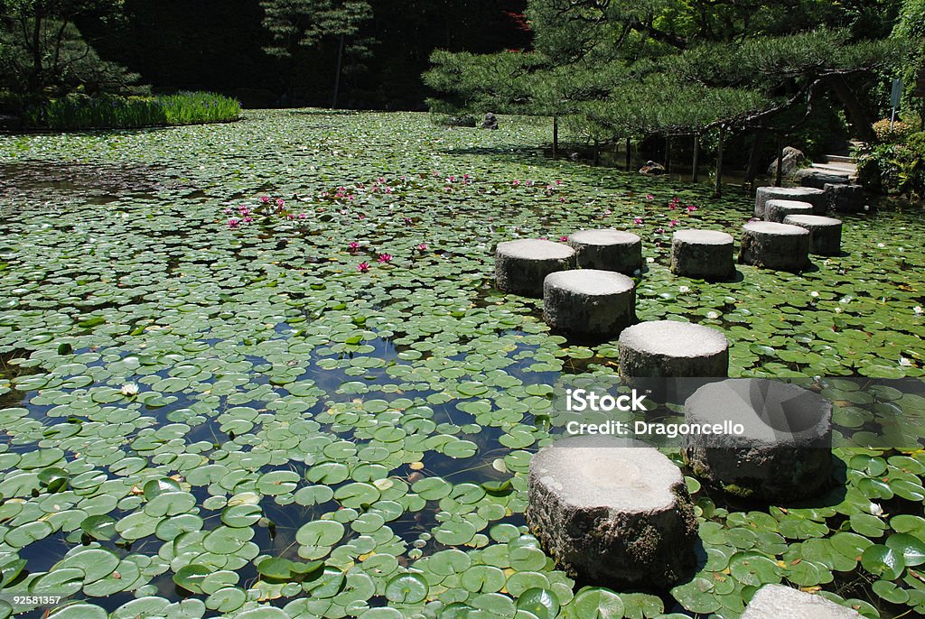 O Step Stones em japonês jardim aquático - Foto de stock de Cena de tranquilidade royalty-free