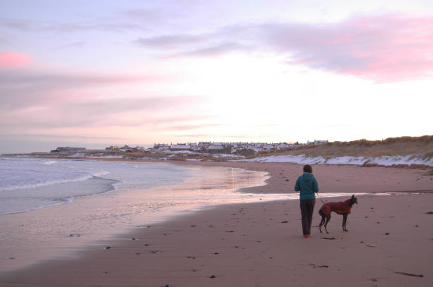 Snowy Aberdeenshire Beach with Woman and Dog stock photo