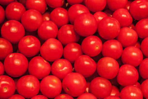 Tomatoes on the white background