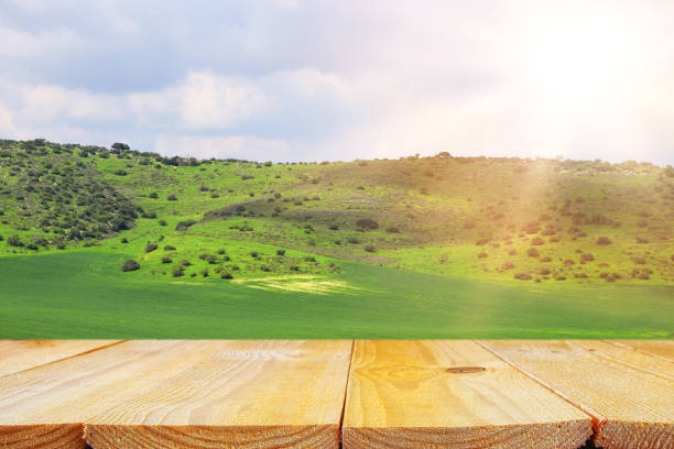 istock Empty rustic table in front of countryside background. product display and picnic concept. 925823478