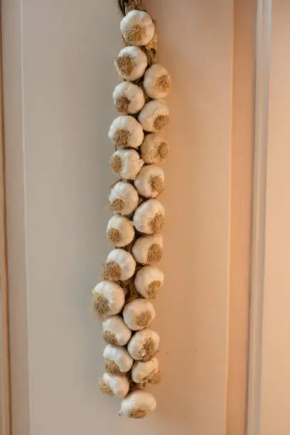 Photo of A garlic braid