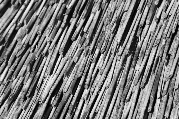 An African(thatch) background texture image. This is a popular building material in Africa.