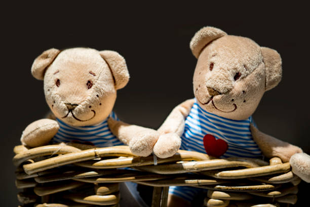 istock Two toy teddy bear in basket look in the camera 925856752