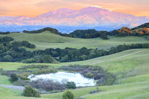 tramonto sul monte diablo visto dal parco regionale di briones - mt diablo state park foto e immagini stock