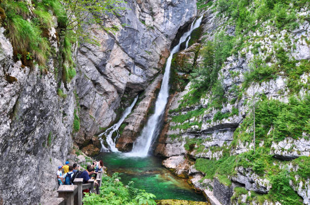 savica 폭포 (78 미터 높이) 근처 bohinj triglav 국립 공원, 슬로베니아에서 슬로베니아에서 가장 유명 하 고 인기 있는 폭포 중 하나입니다. - julian alps lake bohinj lake bohinj 뉴스 사진 이미지