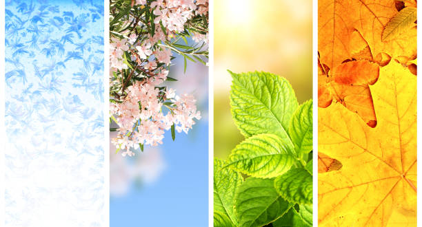 Four seasons of year Four seasons of year. Set of vertical nature banners with winter, spring, summer and autumn scenes season stock pictures, royalty-free photos & images