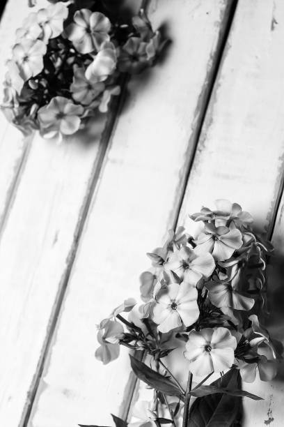 istock Flowers on a wooden table 925882522