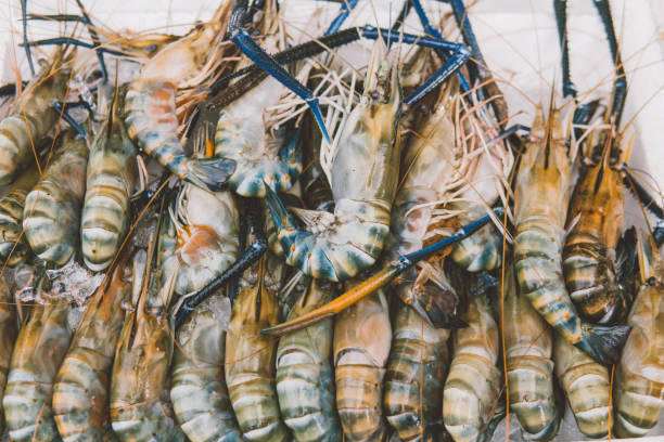 istock shrimp on local market  close-up shallow focus 925903784