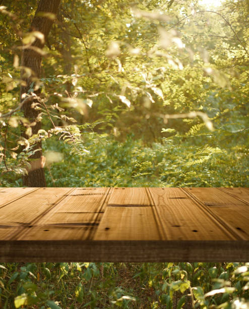 Empty wooden table on green nature background