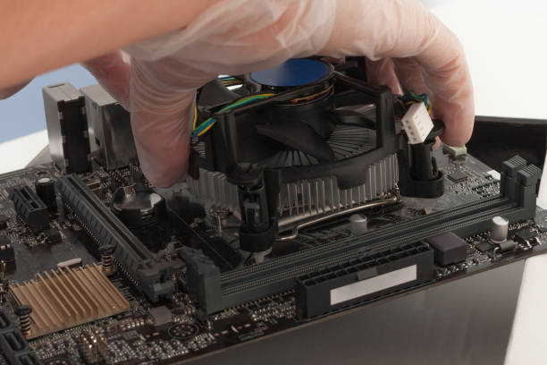 istock Close up of man hands installing CPU cooler fan 925916260