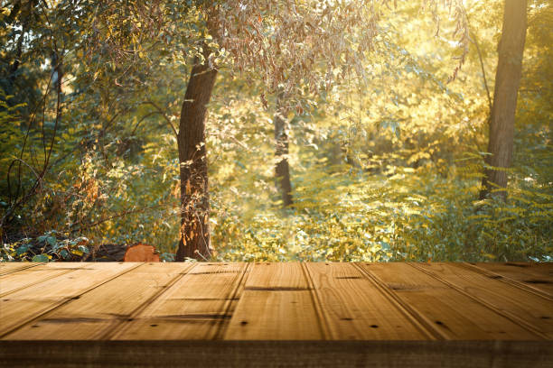istock Empty wooden table on green nature background 925916270