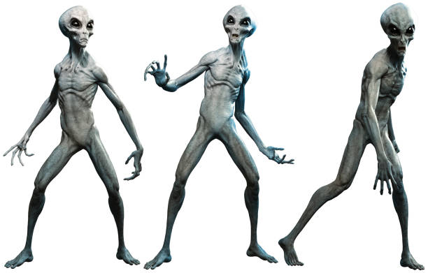 Grey aliens Grey aliens 3D illustration grey alien stock pictures, royalty-free photos & images