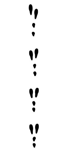 토끼를 추적합니다. 전형적인 발자국 실행-격리 흰색 바탕에 검은 아이콘 벡터 일러스트 레이 션. - snow footprint winter animal track stock illustrations