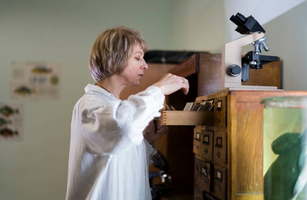 istock Senior woman, scientist, looking for information in the old-style card system 925920100