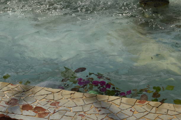 istock Flowers in a fountain 925920164