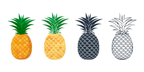 illustrations, cliparts, dessins animés et icônes de ensemble d’icônes d’ananas dans un plat style. - ananas