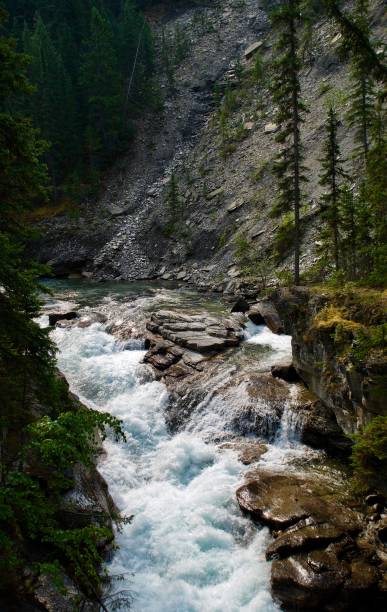 istock The Canyons Of Jasper, Canada 925934052