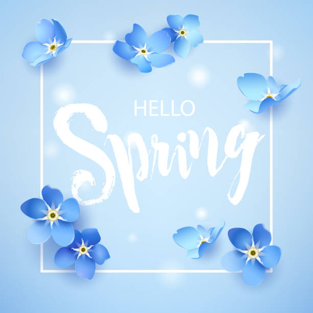 Hello Spring card with forget-me-not and lens flare on blue background. Vector illustration. Hello Spring card with forget-me-not and lens flare on blue background. Vector illustration. blue flowers stock illustrations