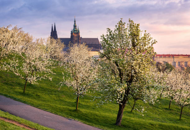 istock Beautiful gothic St. Vitus cathedral, Prague, Czech republic. 925937954