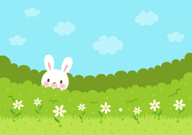119,075 Cute Rabbit Illustrations & Clip Art - iStock | Cute rabbit background, Cute rabbit white background, Cute rabbit icons 119,075 Cute Rabbit Illustrations & Clip Art - iStock | Cute rabbit background, Cute rabbit white background, Cute rabbit icons