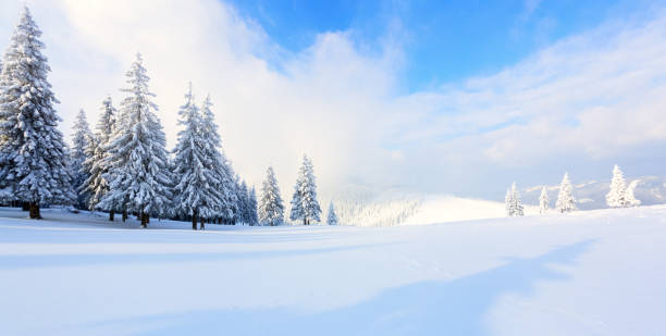 istock Spectacular panorama is opened on mountains,  trees covered with white snow,  lawn and blue sky with clouds. 925941488