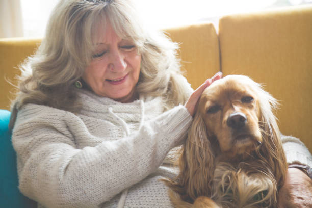 istock Grandma playing with her dog 925952976