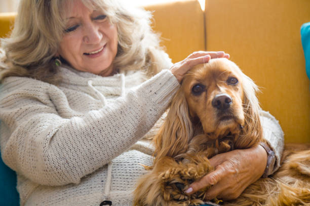 istock Grandma playing with her dog 925953056