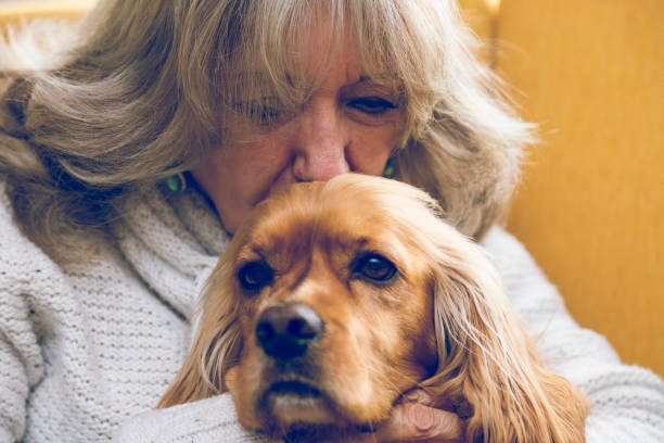 istock Grandma playing with her dog 925953158