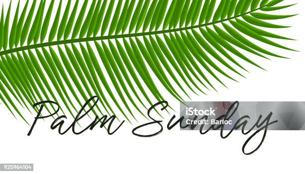 Green Palm Leafs Vector Icon Vector Illustration For The Christian Holiday Palm Sunday Text Handwritten Font For Postcards Design Stock Illustration - Download Image Now