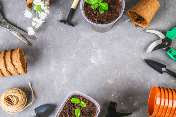 istock Garden tools and pots on a gray concrete background. Top view, copy space. 925966558