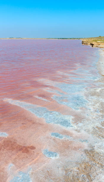 istock Pink salty Syvash Lake, Ukraine 925972016